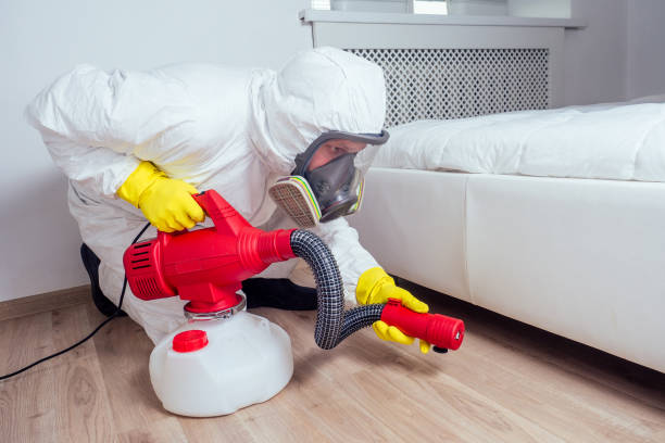 Best Flea Control Services  in Maple Heights Lake Desire, WA