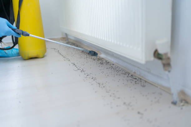 Best Pest Inspection Near Me  in Maple Heights Lake Desire, WA