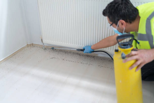 Best Best Pest Control Companies  in Maple Heights Lake Desire, WA